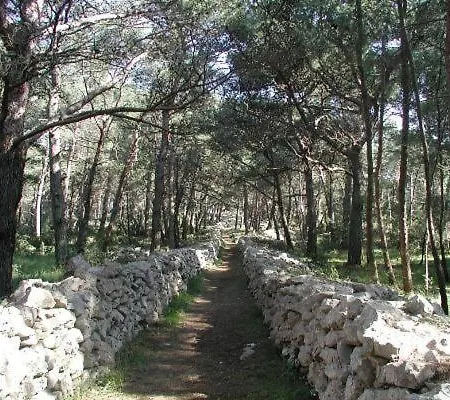 Losinj Chic Retreat Villa